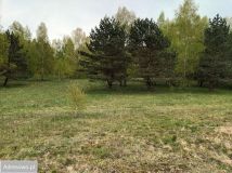 Działka budowlana Grąbczyn