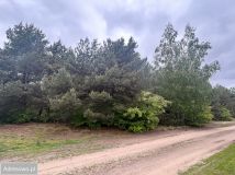 Działka budowlana Łacha, ul. Księcia Witolda. Zdjęcie 3