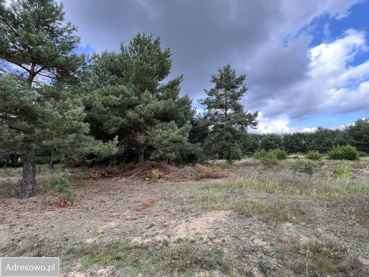 Działka budowlana Psary Wielkie. Zdjęcie 14