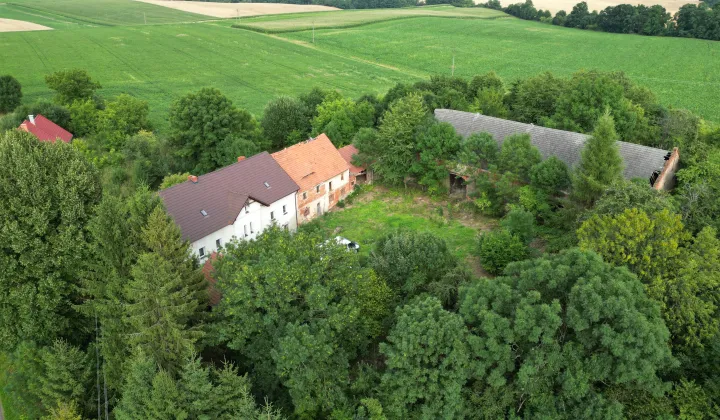 dom wolnostojący Kamiennik