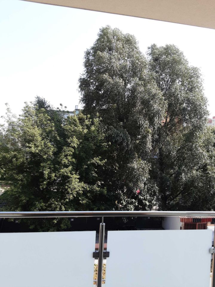 Mieszkanie 2-pokojowe Żyrardów Centrum, ul. Stefana Okrzei. Zdjęcie 2