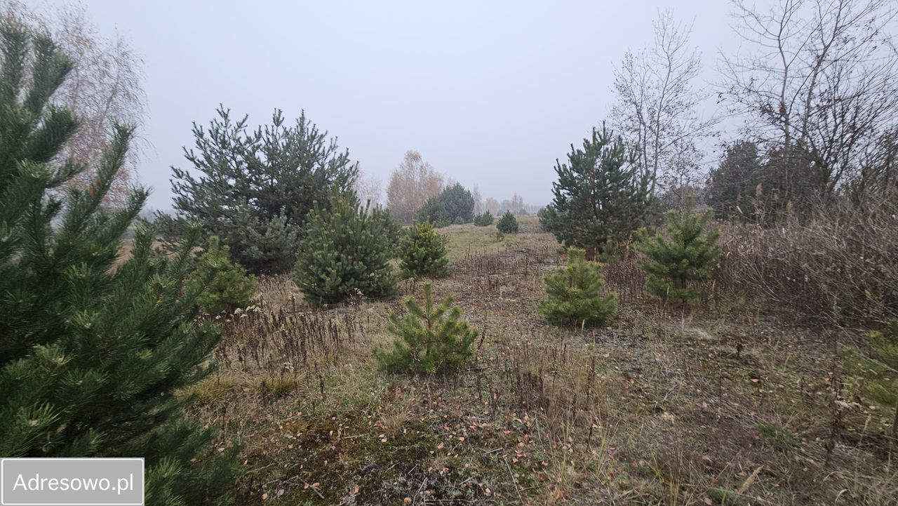 Działka rolna Nowa Wola. Zdjęcie 3