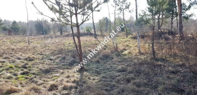 Działka budowlana Budy-Grzybek. Zdjęcie 5