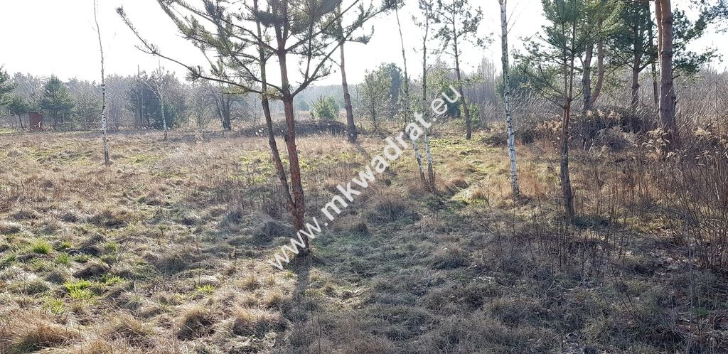 Działka budowlana Budy-Grzybek. Zdjęcie 5