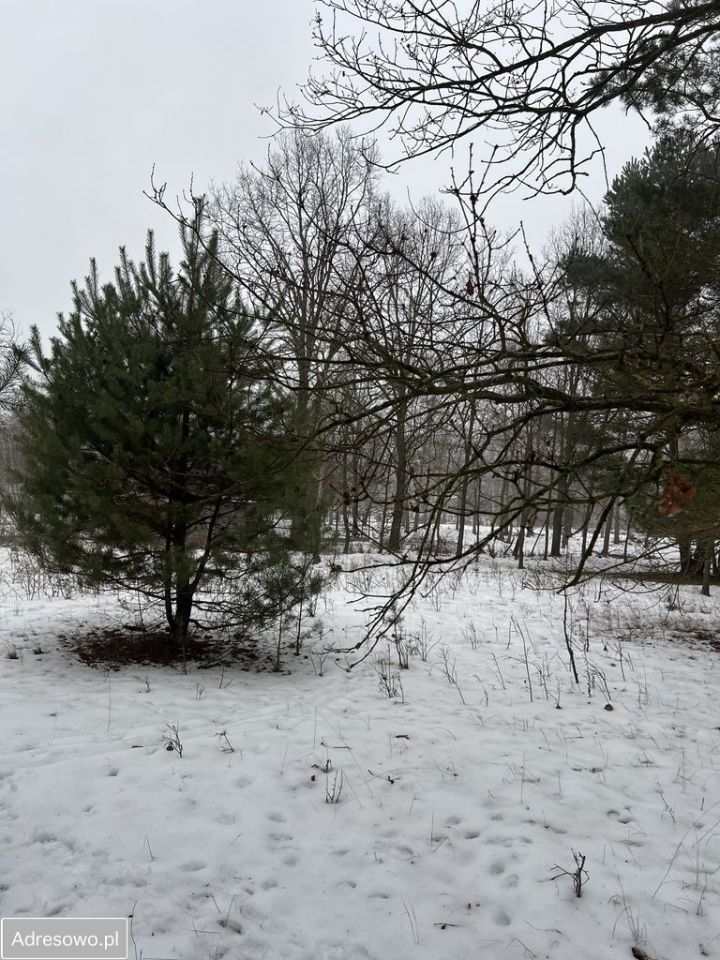 Działka rolno-budowlana Andrzejów. Zdjęcie 17