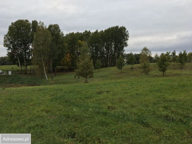 Działka budowlana Zawada. Zdjęcie 1