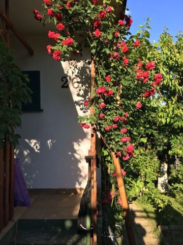 Działka rekreacyjna Jastrzębie-Zdrój Jastrzębie Górne, ul. ks. bp. Herberta Bednorza. Zdjęcie 1