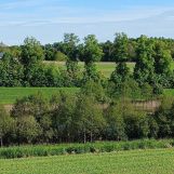 Działka budowlana Kczewo, ul. Dolna. Zdjęcie 1