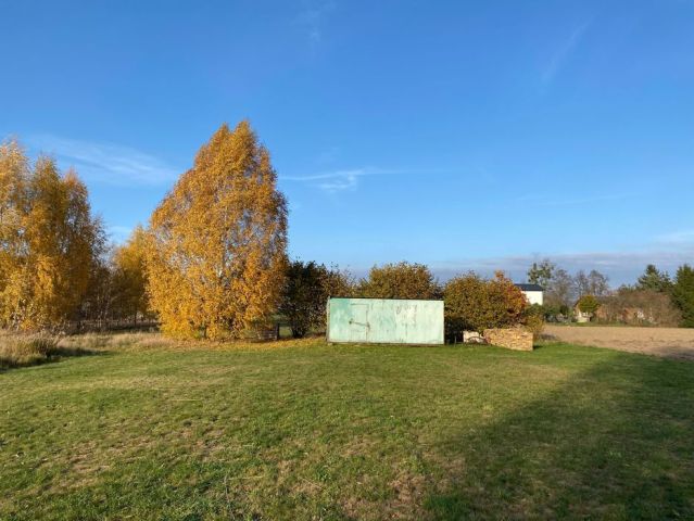 Działka rolna Jeżewo. Zdjęcie 1