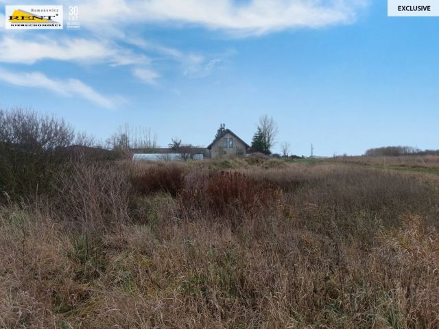 Działka inwestycyjna Wąwelnica. Zdjęcie 6