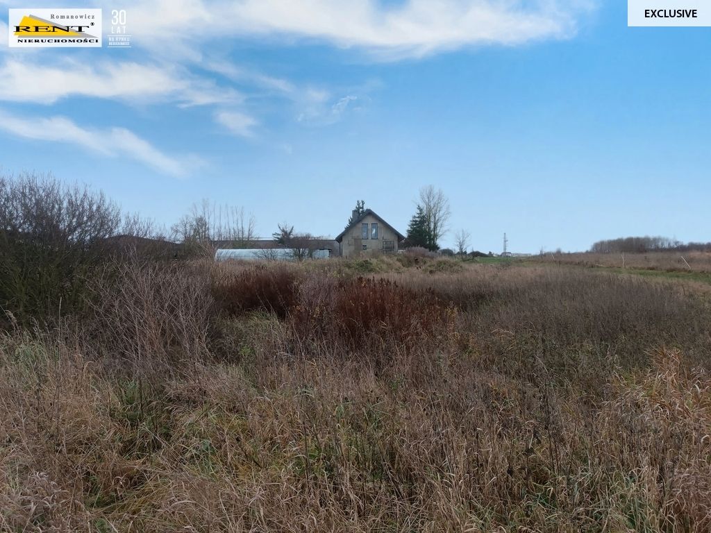 Działka inwestycyjna Wąwelnica. Zdjęcie 6