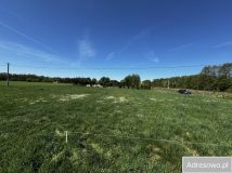 Działka budowlana Wilków. Zdjęcie 3