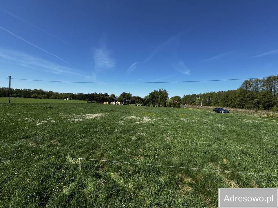 Działka budowlana Wilków. Zdjęcie 4