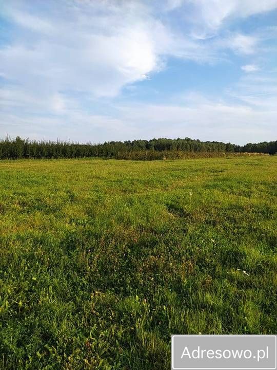 Działka rolna Prace Małe, ul. Polna. Zdjęcie 7