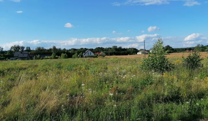 Działka budowlana Żabia Wola