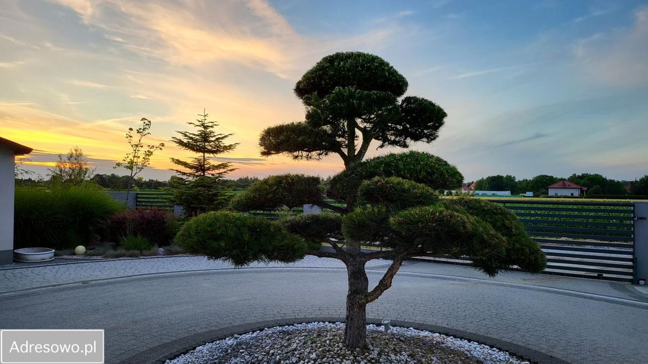 inny, 8 pokoi Żerniki Wrocławskie, ul. Kalinowa. Zdjęcie 7