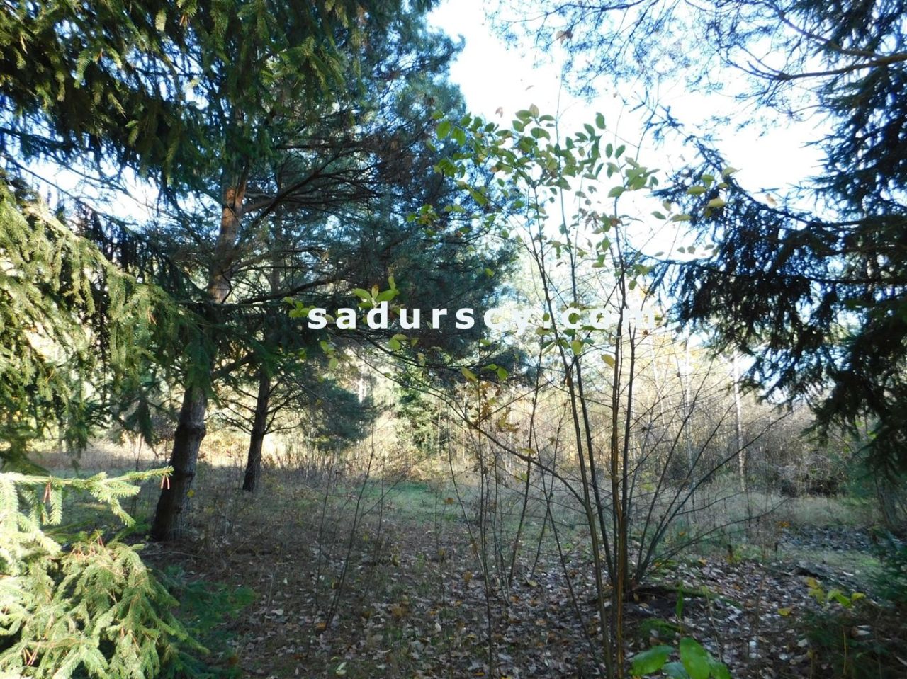 Działka budowlana Biały Ług. Zdjęcie 13