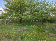 Działka rod Kielce, ul. ks. Piotra Ściegiennego. Zdjęcie 2