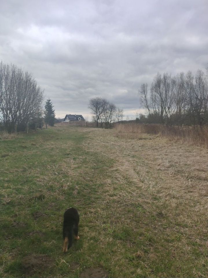 Działka budowlana Horyniec-Zdrój. Zdjęcie 2