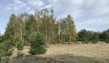 Działka budowlana Łośno, Zaciszna