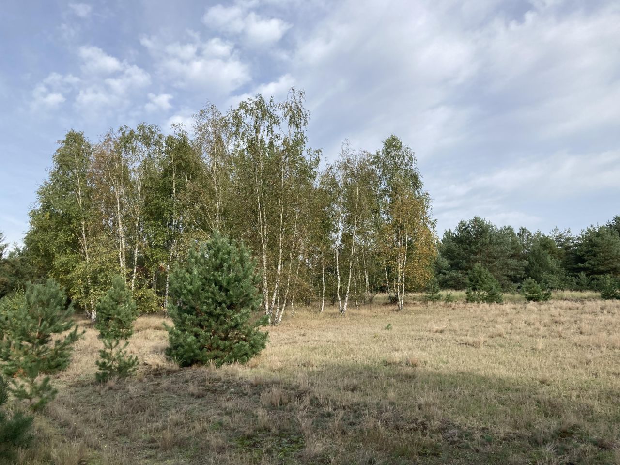 Działka budowlana Łośno