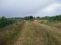 dom wolnostojący, 5 pokoi Borzechów-Kolonia. Zdjęcie 4