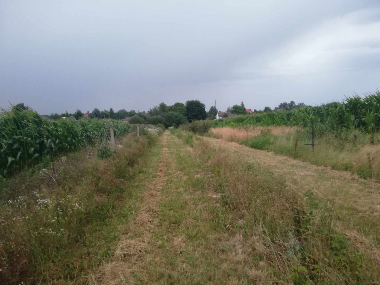 dom wolnostojący, 5 pokoi Borzechów-Kolonia. Zdjęcie 5