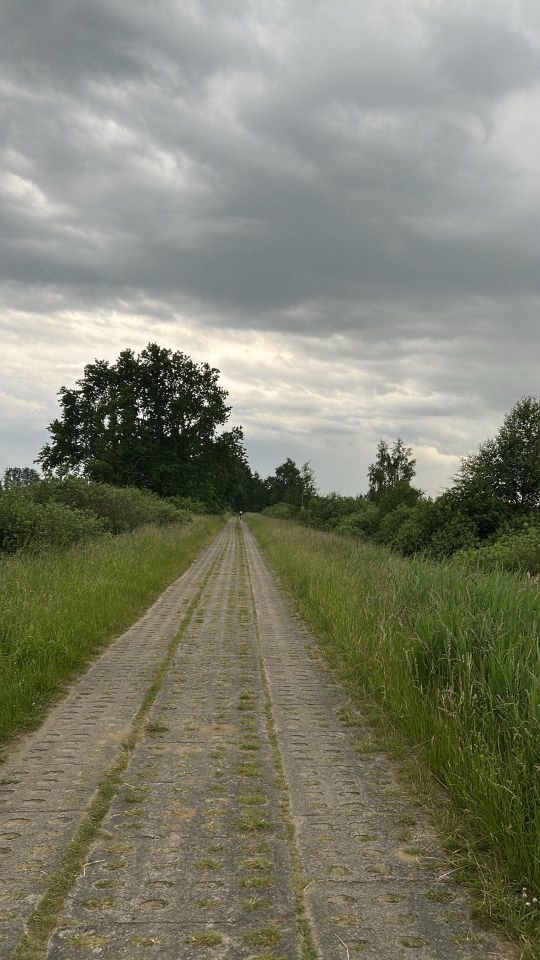 Działka rolna Moście Błota, Betonowa. Zdjęcie 15