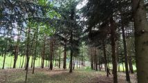 Działka rolno-budowlana Dębinka. Zdjęcie 1