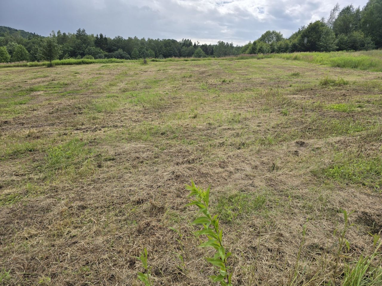 Działka budowlana Orzechówka. Zdjęcie 5