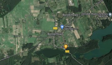 Działka rolna Borzechowo