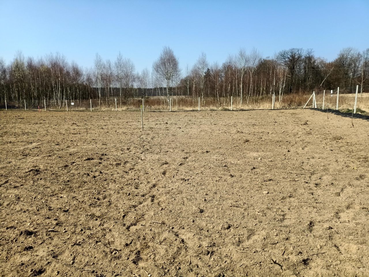 Działka rolno-budowlana Drołtowice. Zdjęcie 13