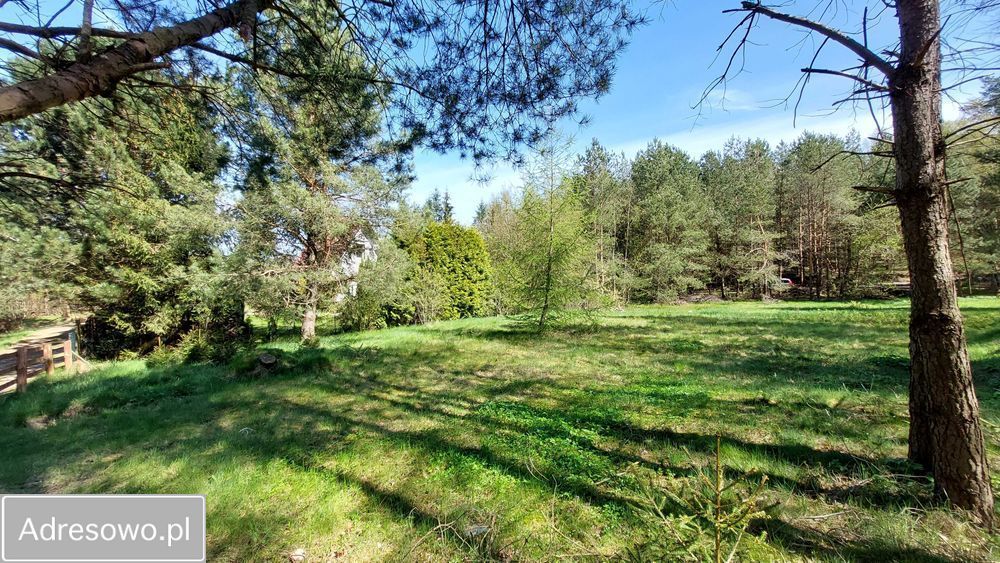 Działka rolno-budowlana Łyśniewo Sierakowickie, ul. Osiedle Sosnowe. Zdjęcie 3