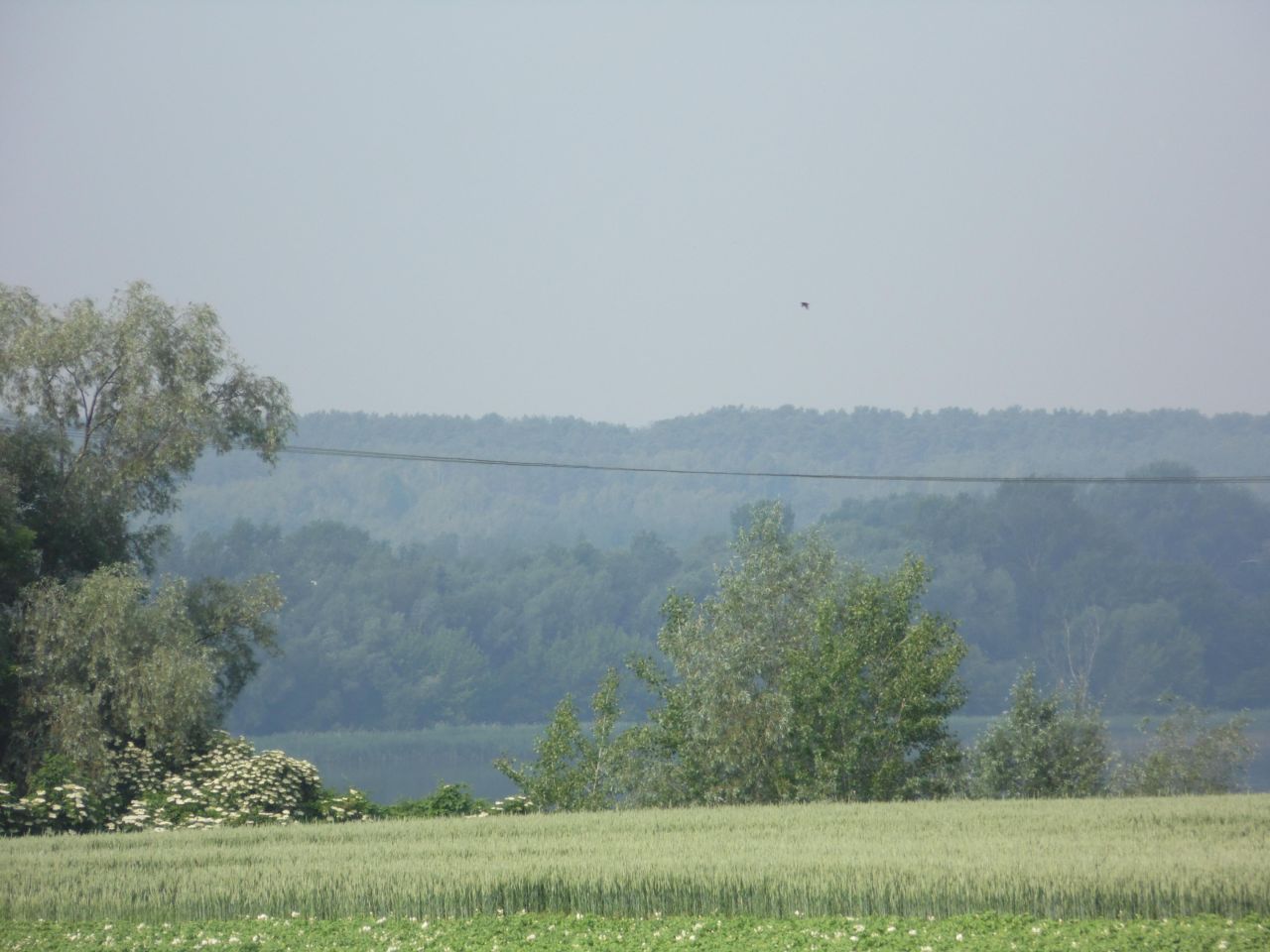 dom wolnostojący, 5 pokoi Brwilno, ul. Południowa. Zdjęcie 13