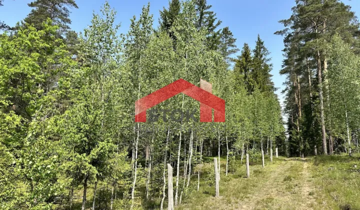 Działka leśna Rudnica