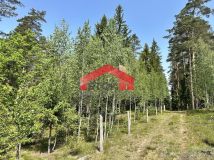 Działka leśna Rudnica