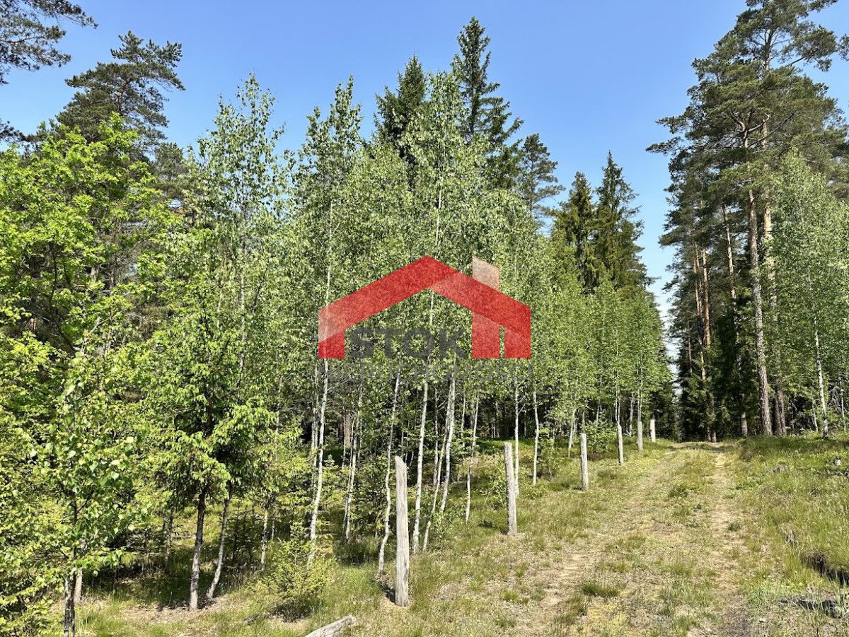 Działka leśna Rudnica