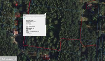 Działka rolno-budowlana Popielżyn Dolny