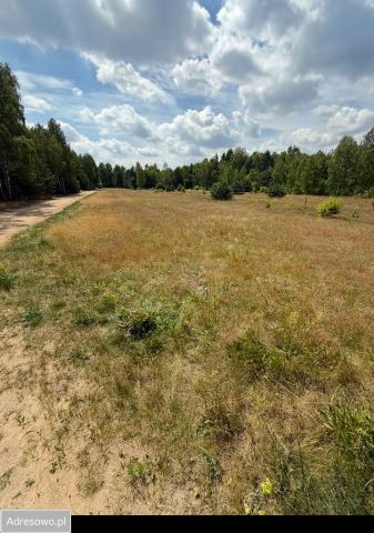 Działka rolno-budowlana Stare Lipki. Zdjęcie 1