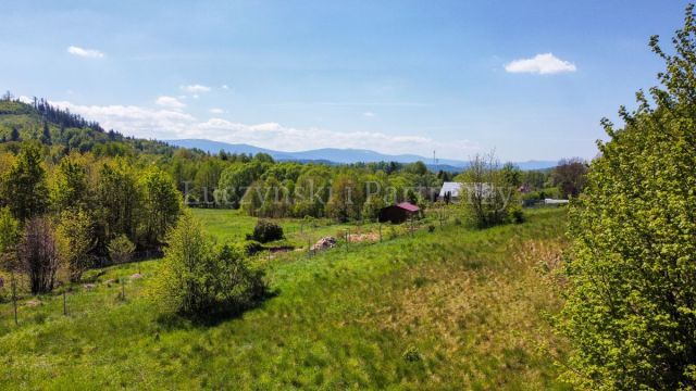 Działka inwestycyjna Karpniki. Zdjęcie 2