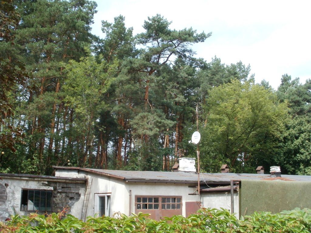 Działka budowlana Hornówek. Zdjęcie 4