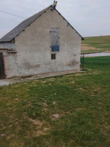 gospodarstwo Nowy Działyń. Zdjęcie 1