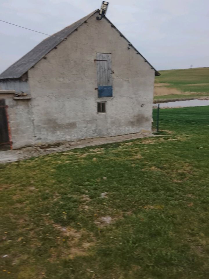 gospodarstwo Nowy Działyń. Zdjęcie 1