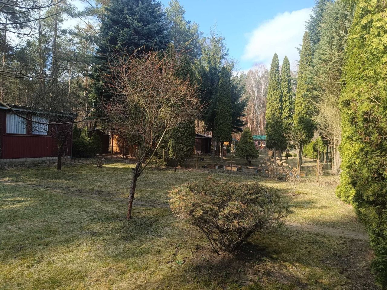 Działka rod Walendów, ul. Brzozowa. Zdjęcie 4