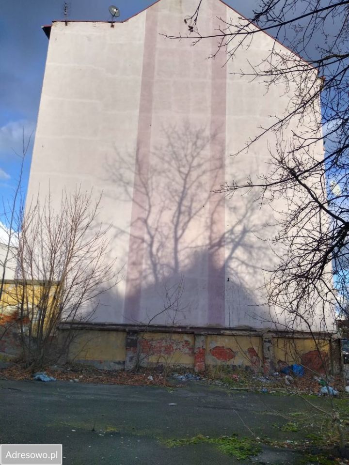 Hala/magazyn Legnica, ul. Bolesława Prusa. Zdjęcie 11