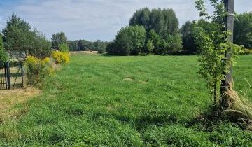 Działka rolno-budowlana Krzepin Korwinów, Krzepin