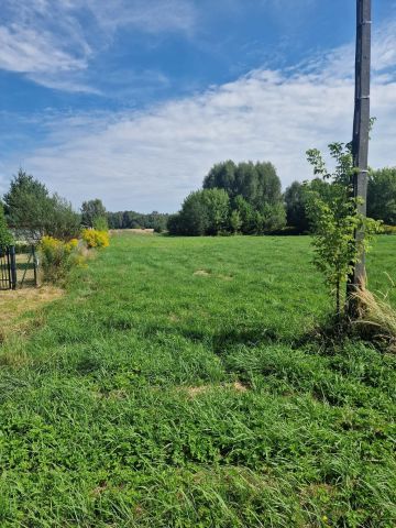Działka rolno-budowlana Krzepin Korwinów