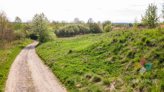 Działka Potryty. Zdjęcie 15