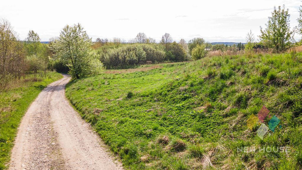 Działka Potryty. Zdjęcie 15