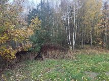 Działka budowlana Wilkszyn, ul. Świętego Mikołaja. Zdjęcie 4